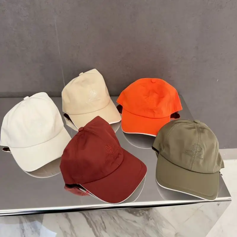 Loro Piana cap dx27